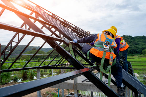 Best Roof Replacement Cost  in Bushnell, FL