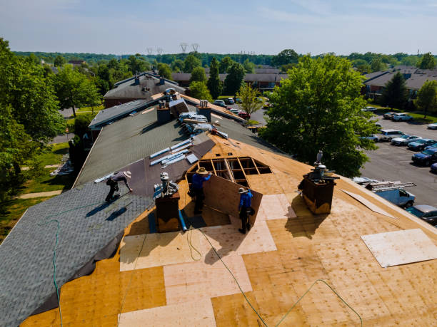 Best Flat Roof Repair Services  in Bushnell, FL