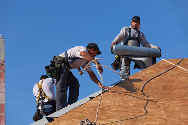 Best Emergency Roof Repair  in Bushnell, FL