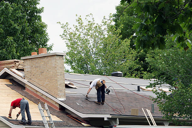 Best Roof Gutter Cleaning  in Bushnell, FL
