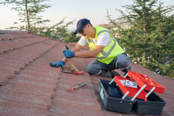 Quick and Trustworthy Emergency Roof Repair Services in Bushnell, FL