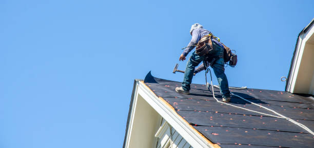 Roof Waterproofing Services in Bushnell, FL